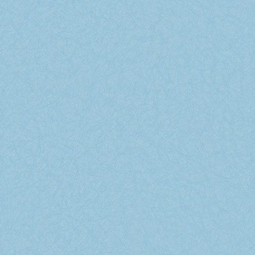 MS01060