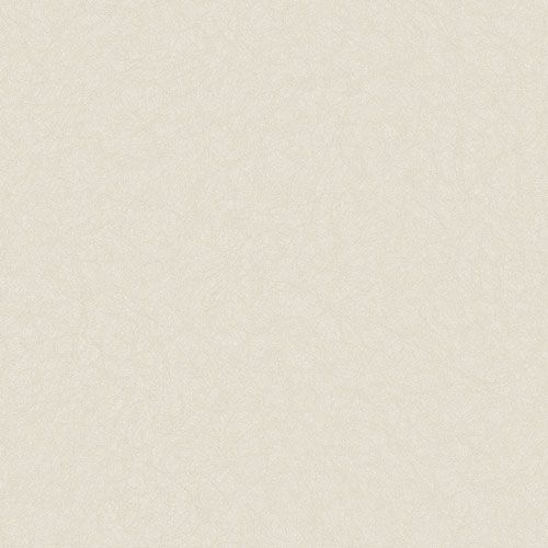 MS01063