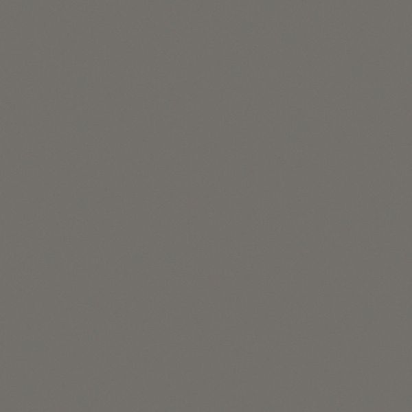 MS01039