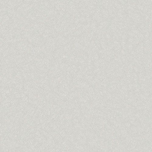 MS01062
