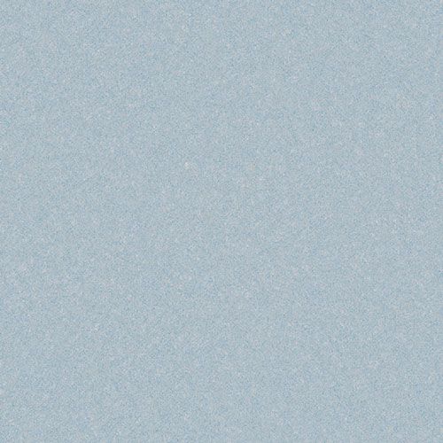 MS01036