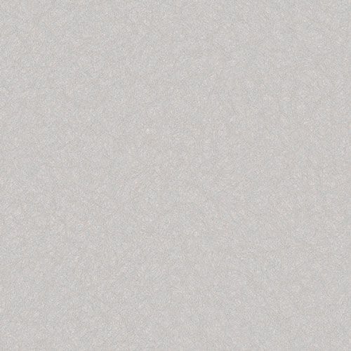 MS01018