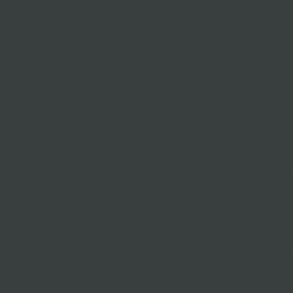 MS01019
